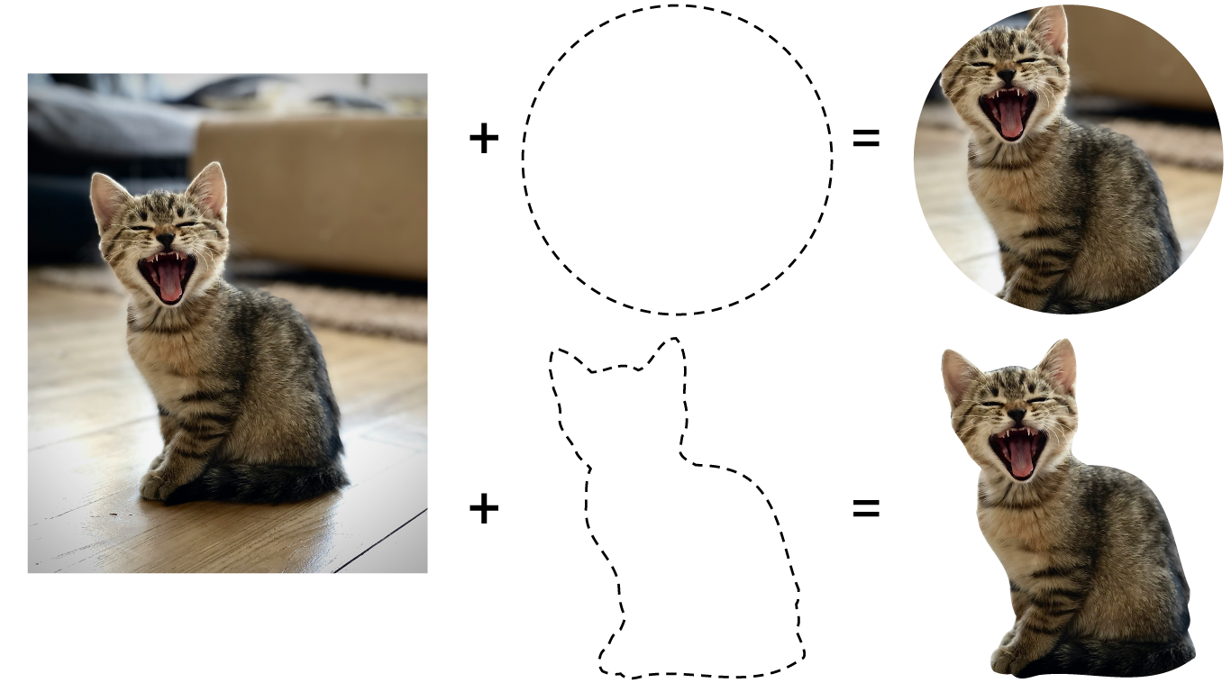 Kırpmanın özellikle bir resmi nasıl etkileyebileceği: Bu resimde, bir yavru kedinin fotoğrafı hem daire hem de yavru kedinin tamamını ana hatlarıyla belirten karmaşık bir kırpma yoluyla kırpılmış.